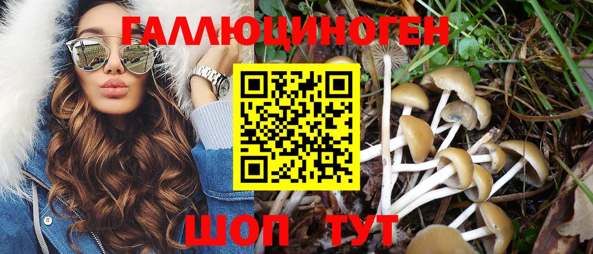 Галлюциногенные грибы Magic Shrooms Кизляр